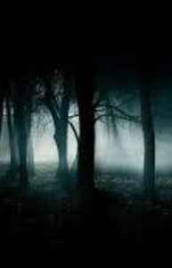 Éjszaka az erdőben